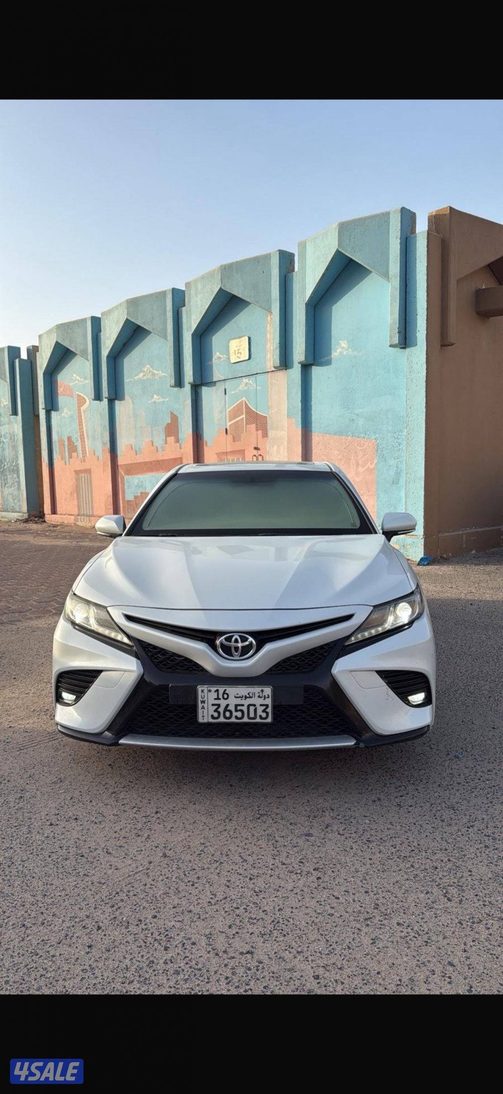 صبغ الوكاله2