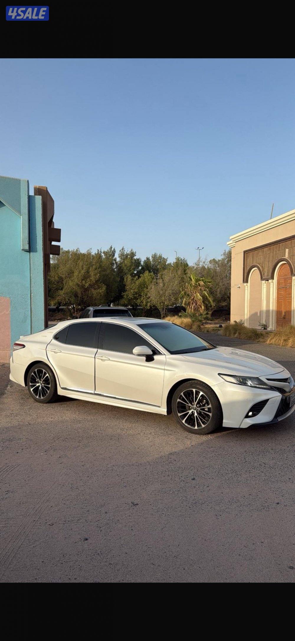 صبغ الوكاله3