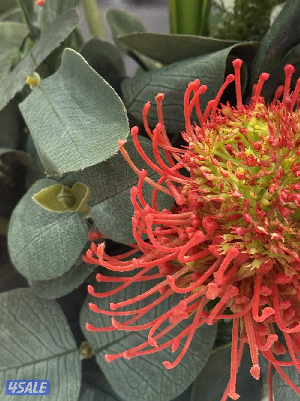 مطلوب منسق زهور (a florist is required for a new store) التواصل واتس ا0