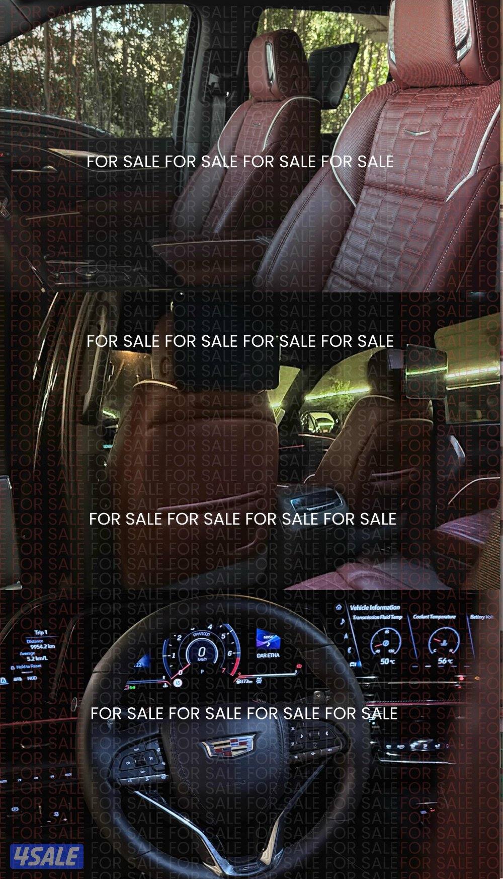 كاديلاك اسكاليد Escalade1