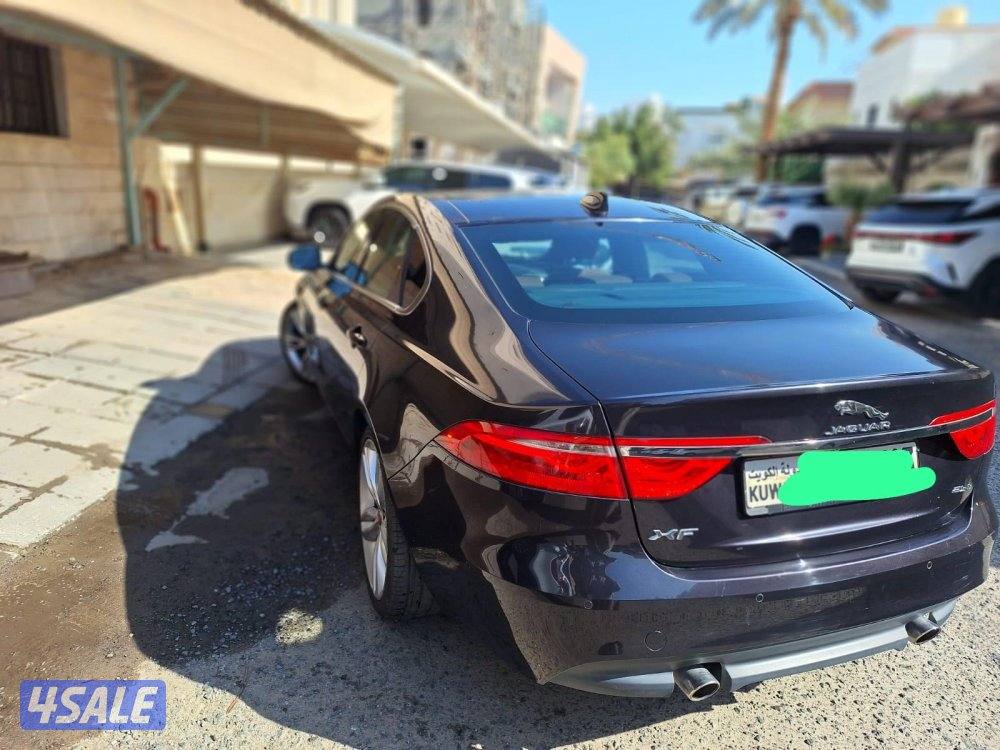 جنوب السرة1