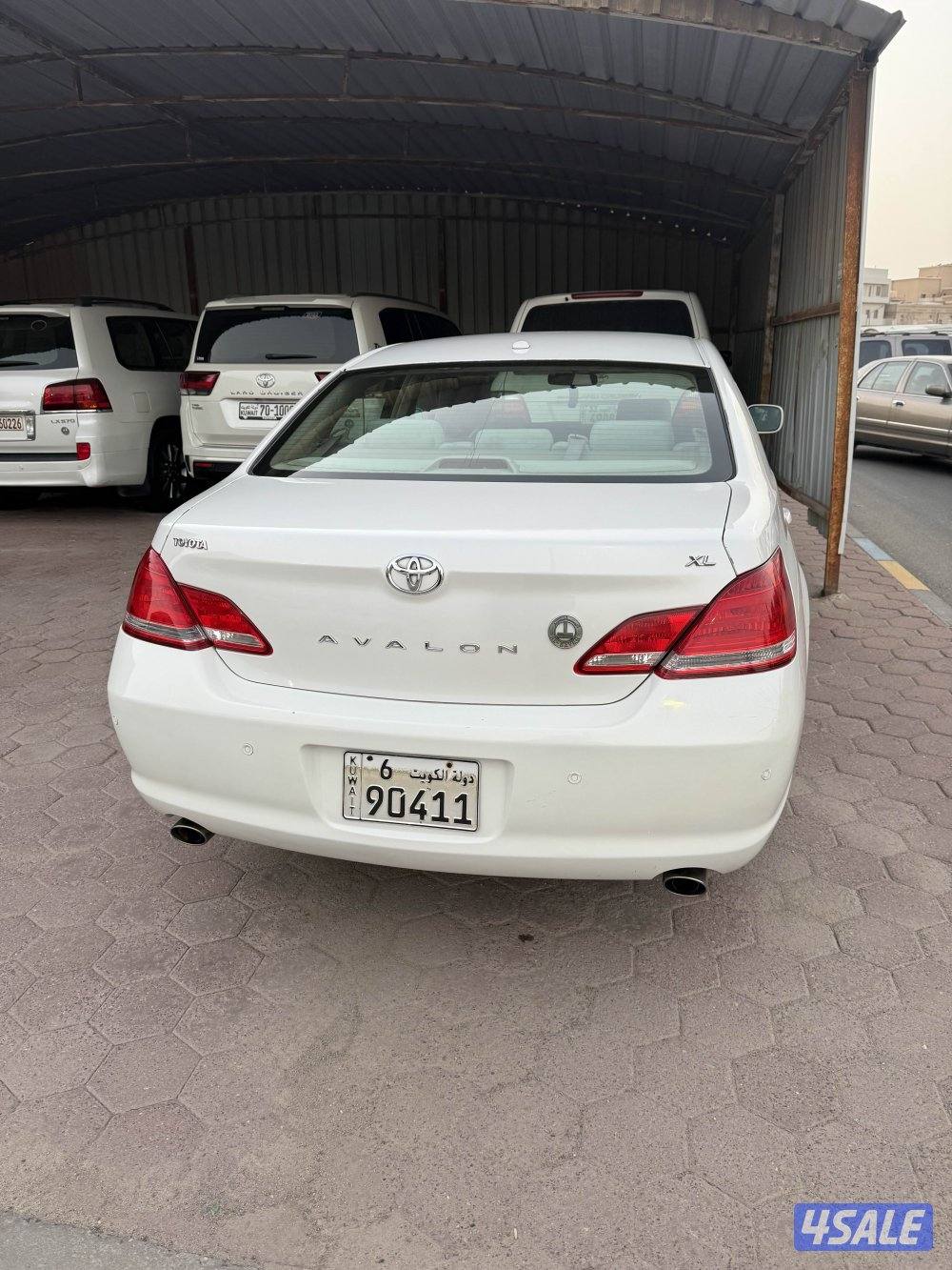 صبغ وكالة بالكامل2