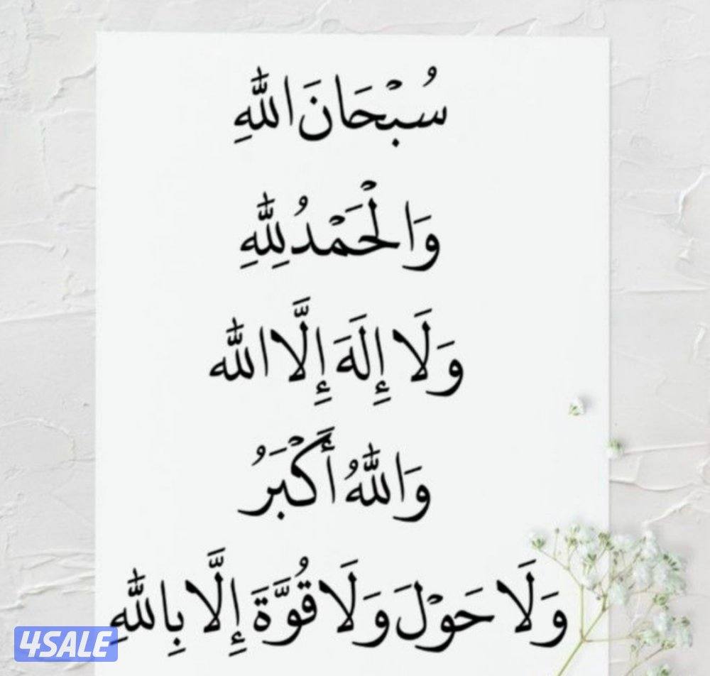 شقه صباح الناصر0