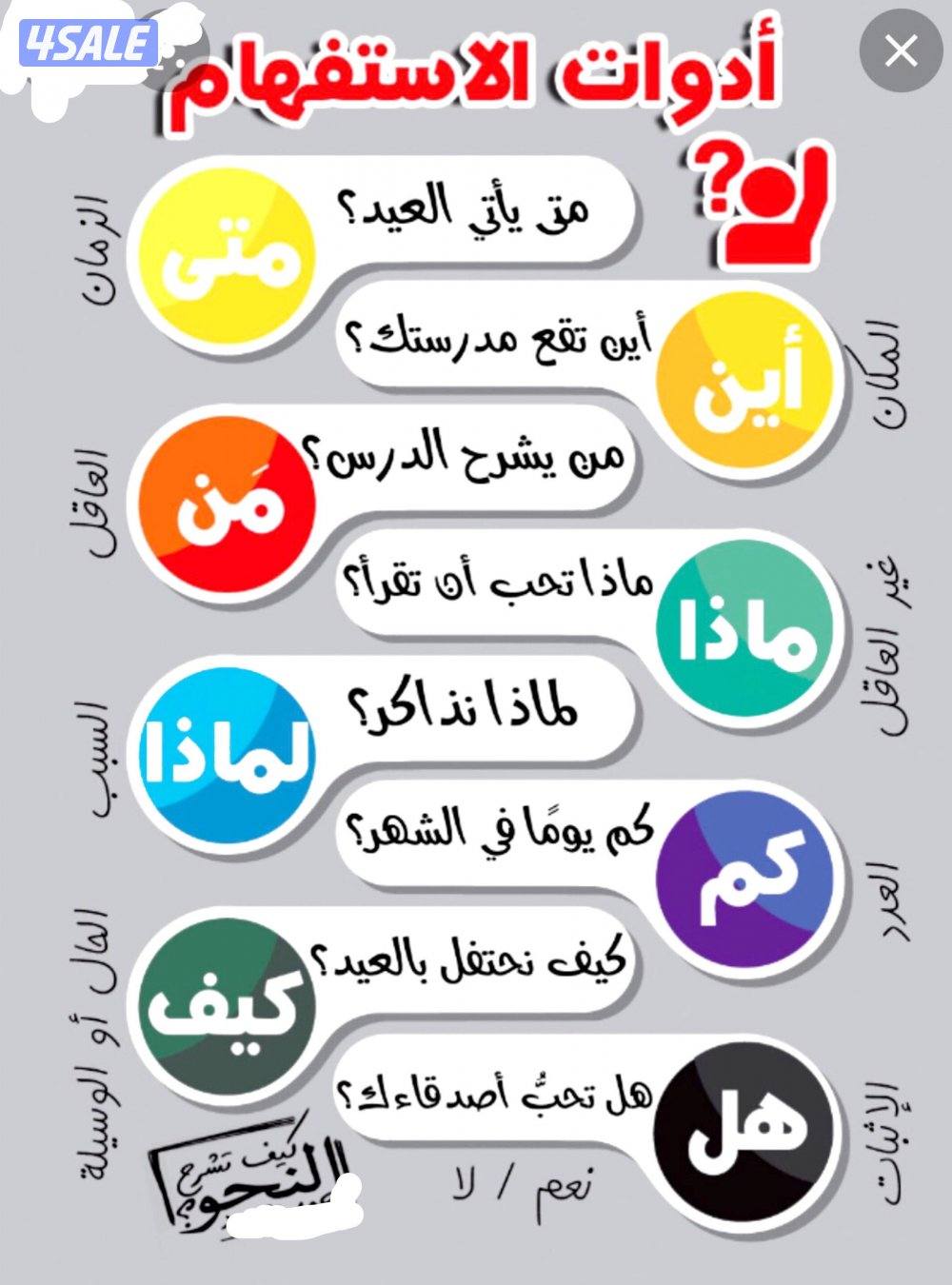 مدرس لغة عربية لجميع المراحل3