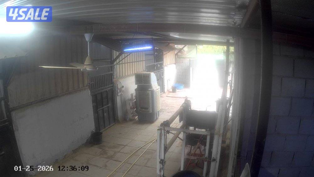 جاخور للايجار ١٤ بنجره كبد قطعة ١٠0