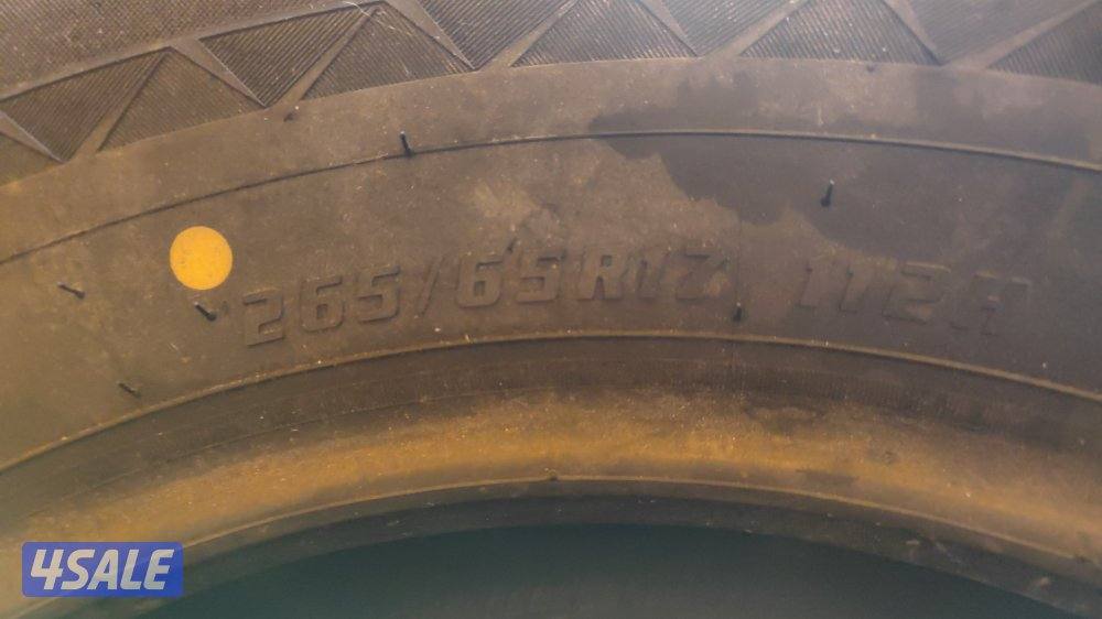 4تواير (265) جدد مكفولين4