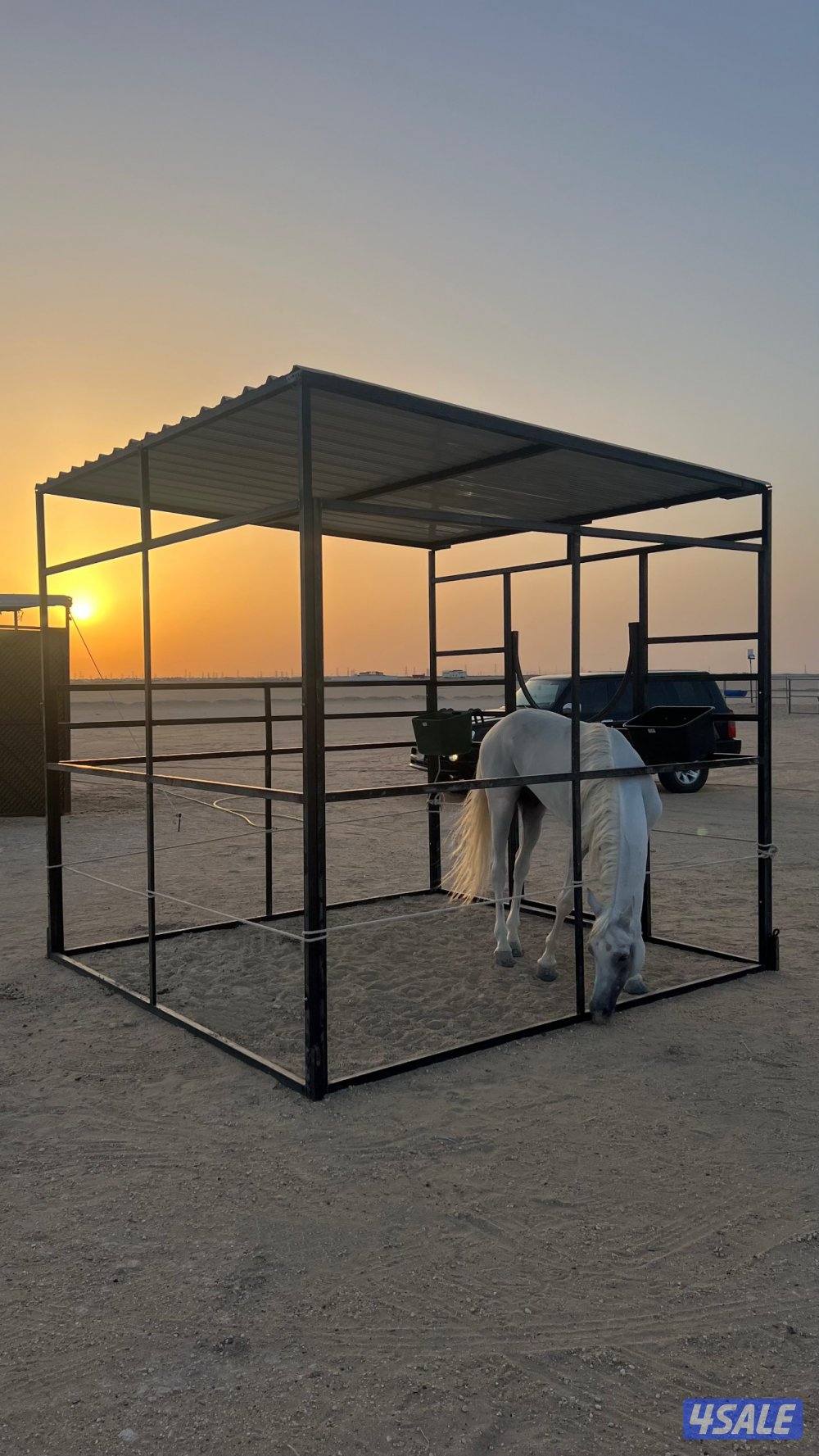 للبيع بنجره0