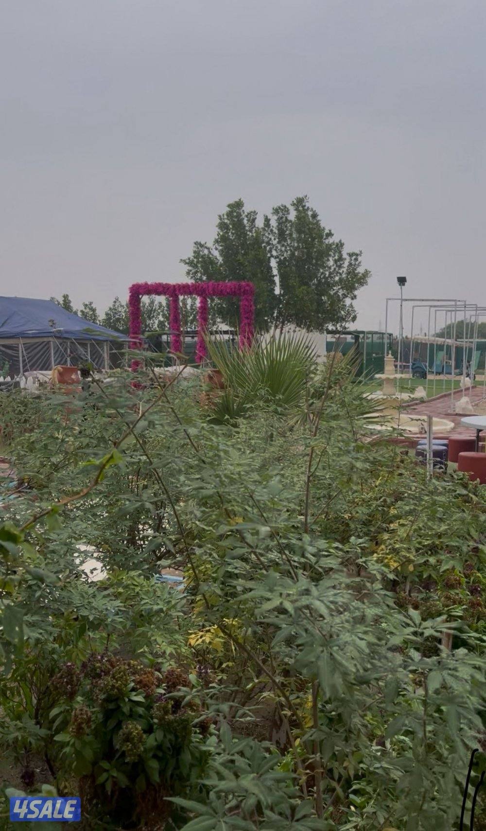 مخيم الاماكن 🌟13