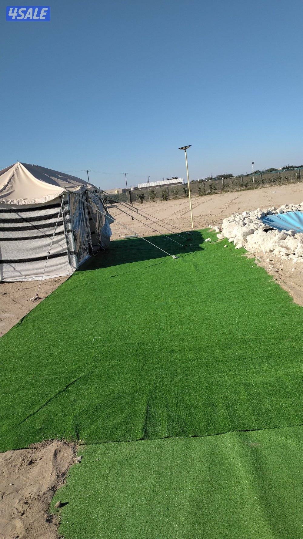 سجاد تركي للبيع2