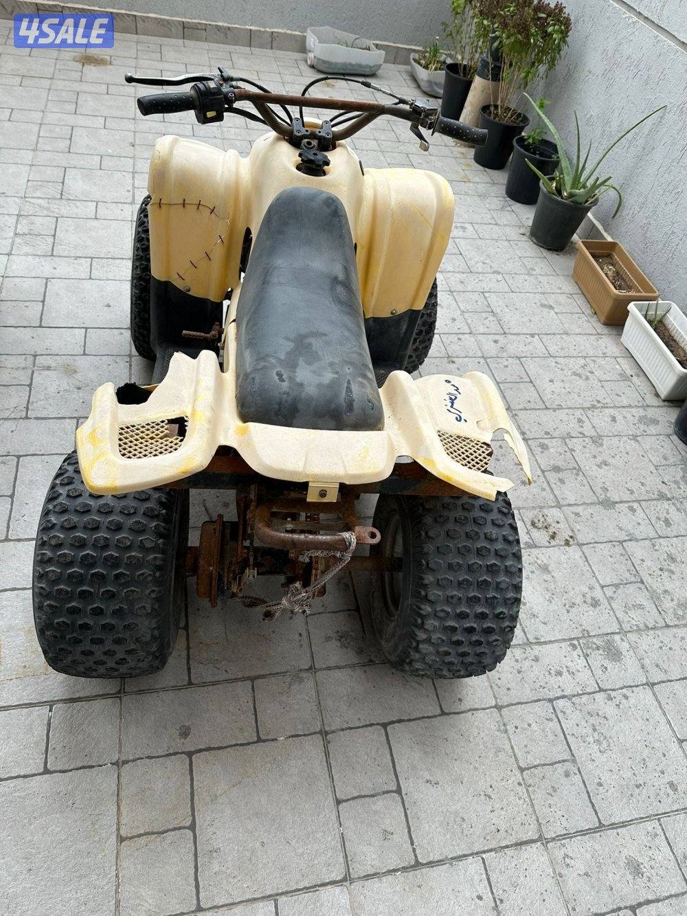 للبيع بقي عميري حجم ميه1