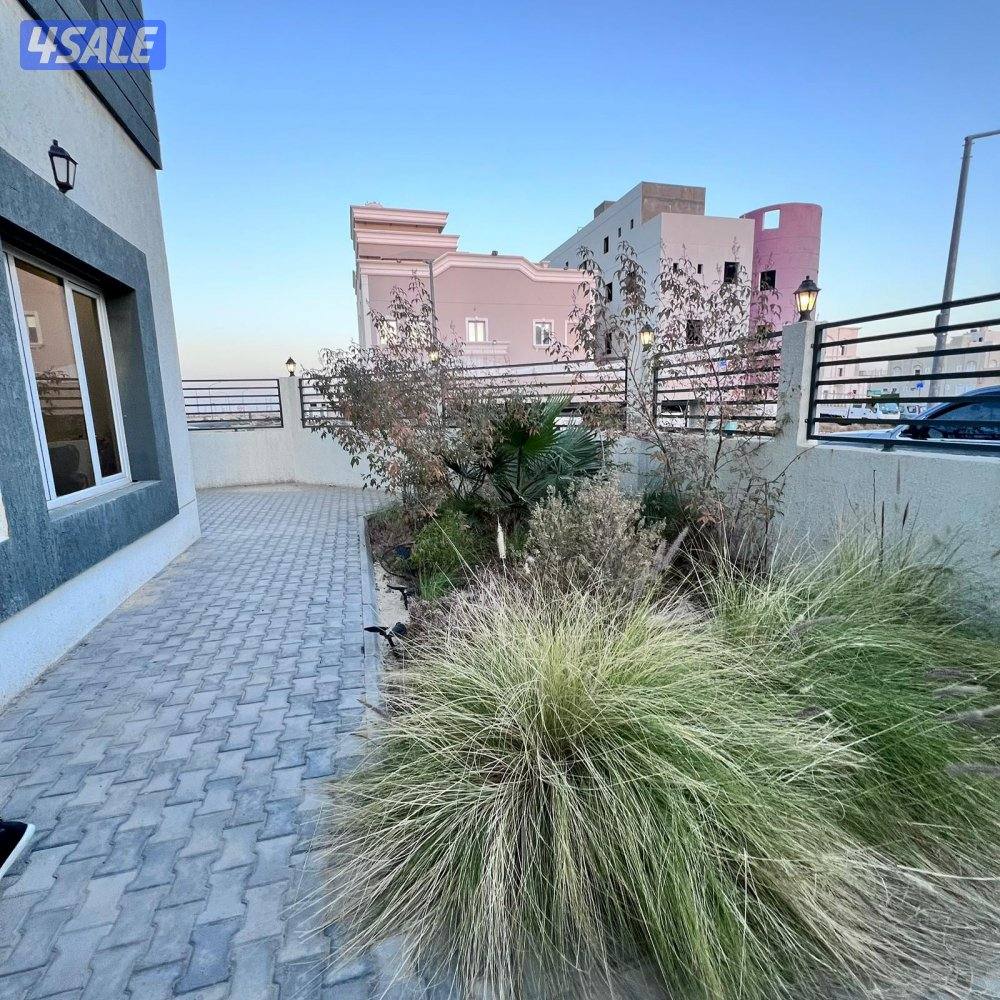 بيت كامل سكني للإيجار في الوفرة قطعة 52