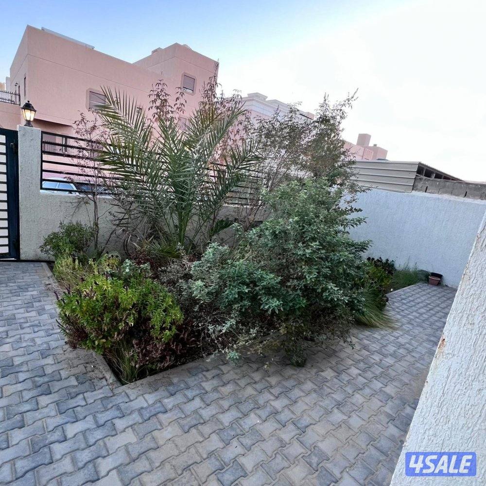 بيت كامل سكني للإيجار في الوفرة قطعة 53