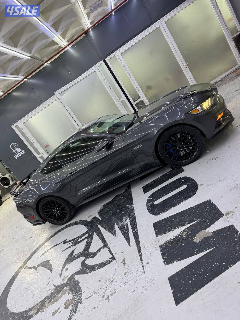 موستنق  بيفورمنس بكج الفل ٢٠١٥4