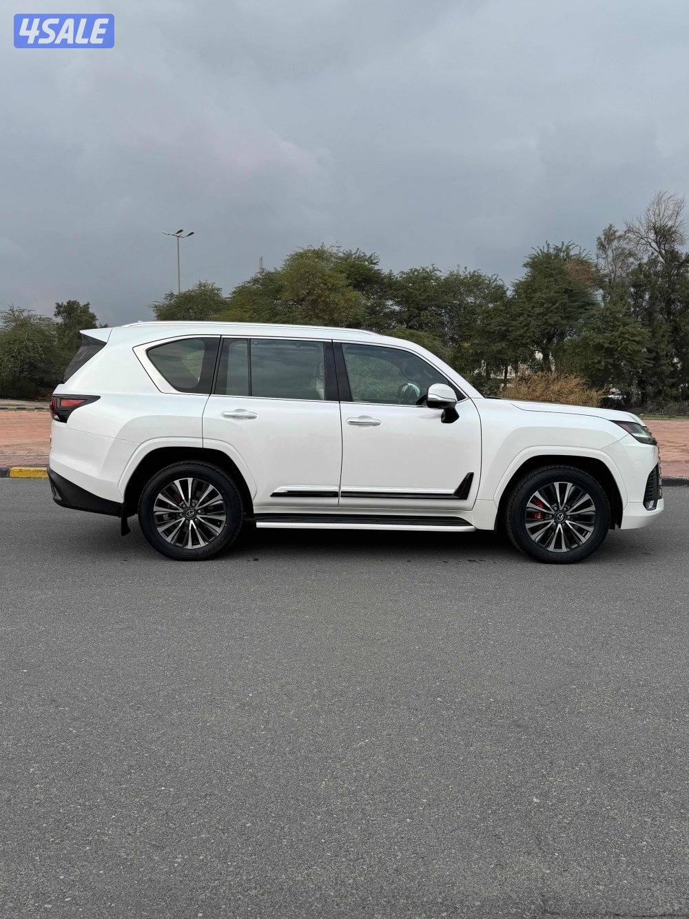 صبغ الوكالة الدرجة الاولى0