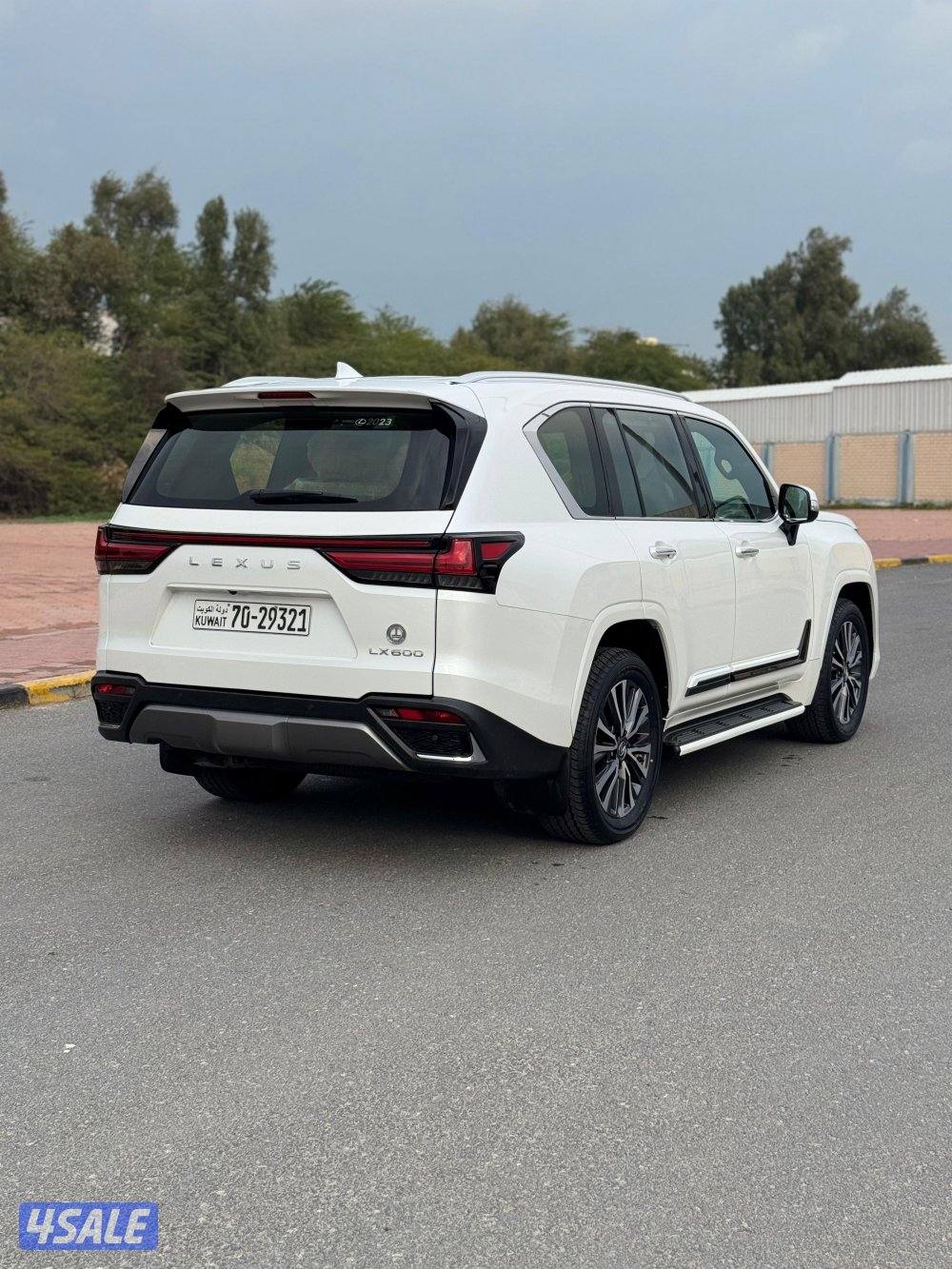 صبغ الوكالة الدرجة الاولى6