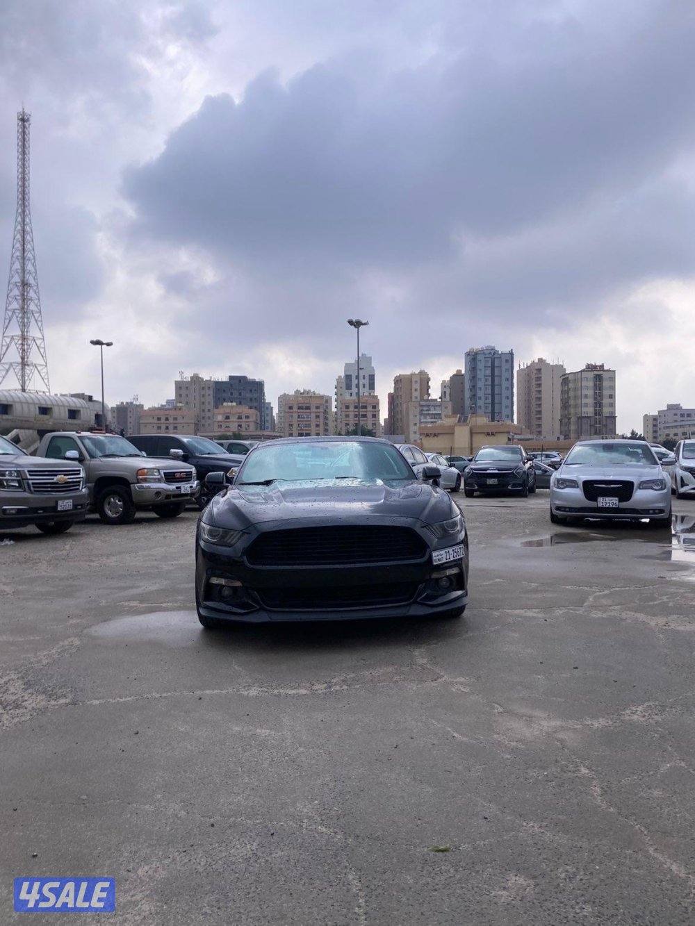 موستانج 5.0 موديل 20151