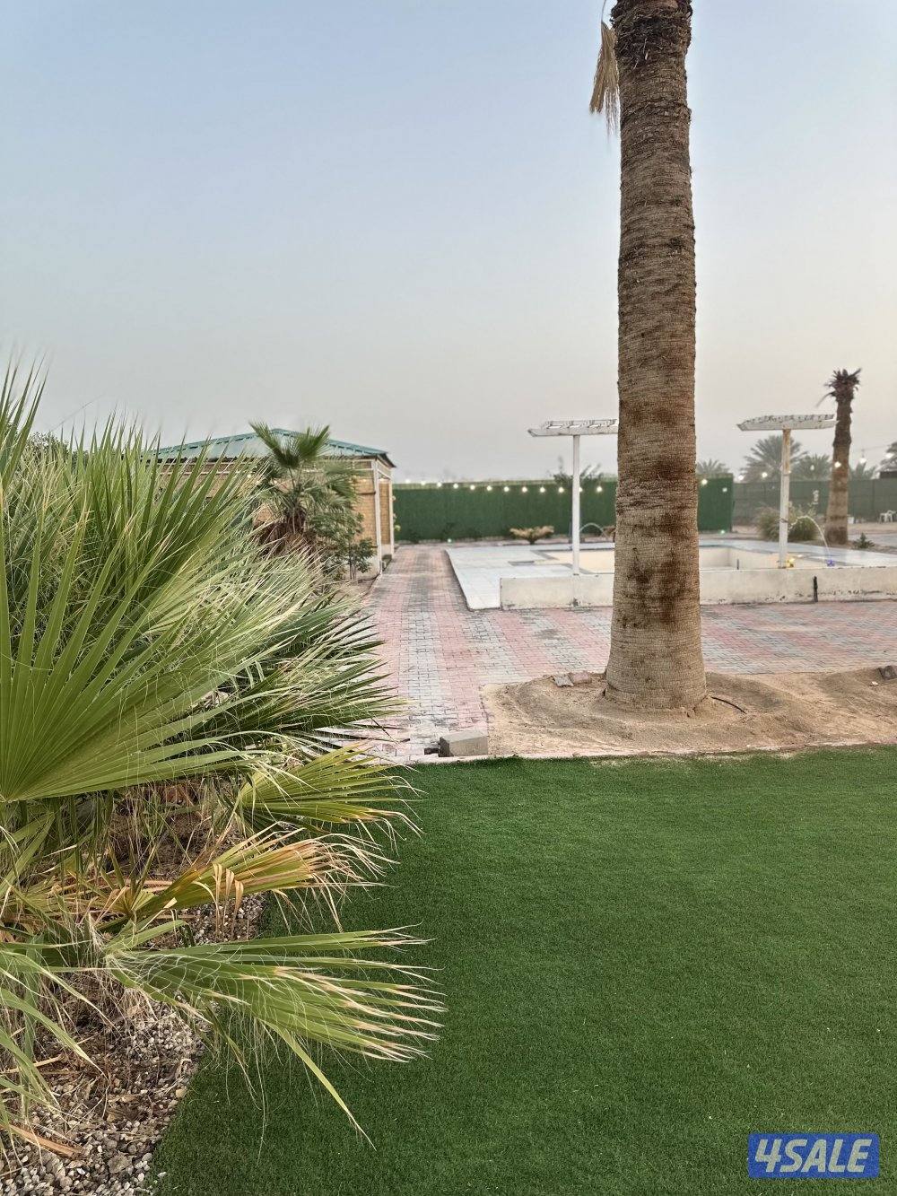 مزرعه كوينز لاند العبدلي10