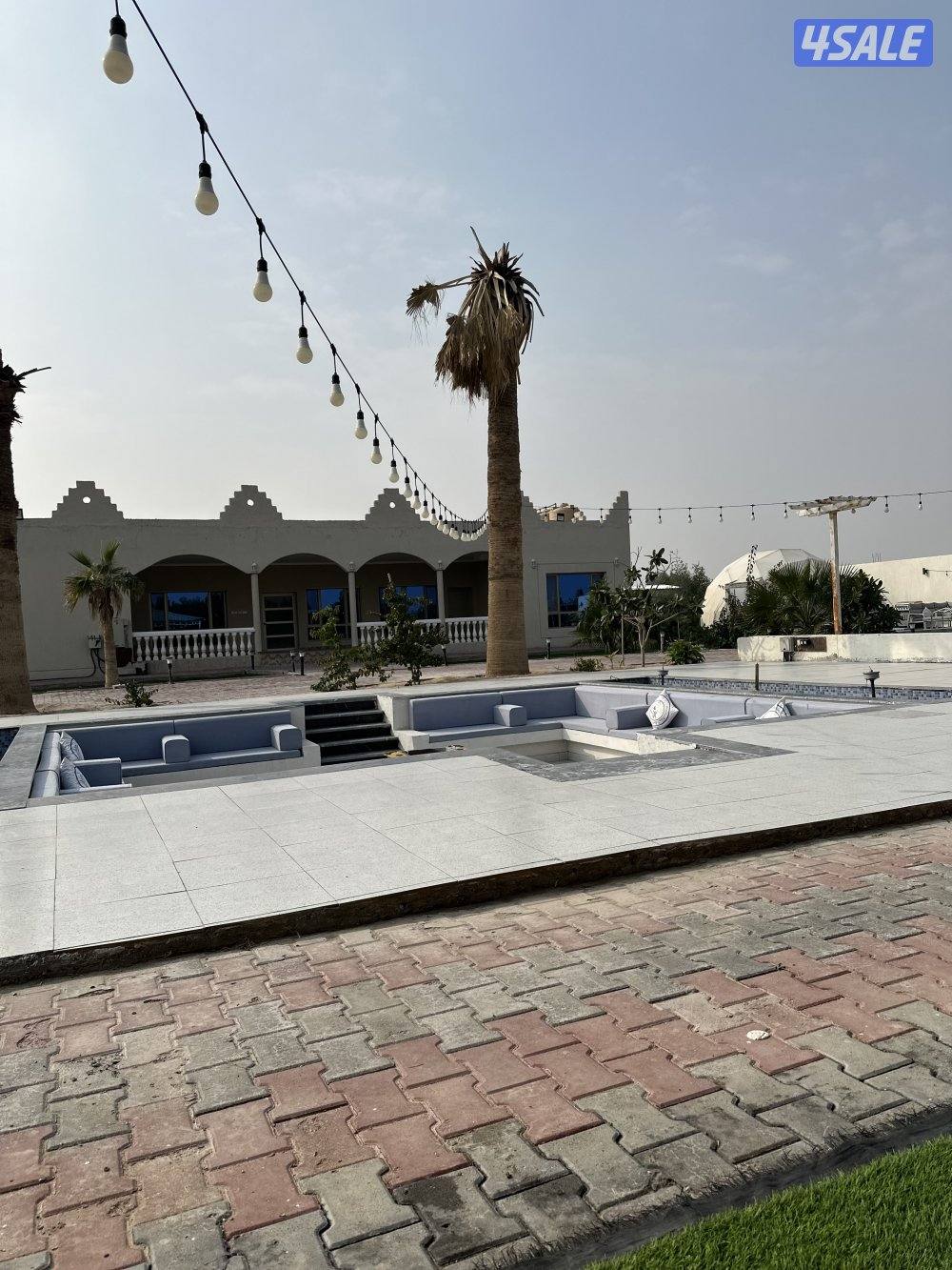 مزرعه كوينز لاند العبدلي11