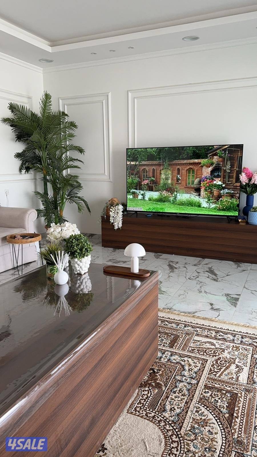 مزرعه كوينز لاند العبدلي14