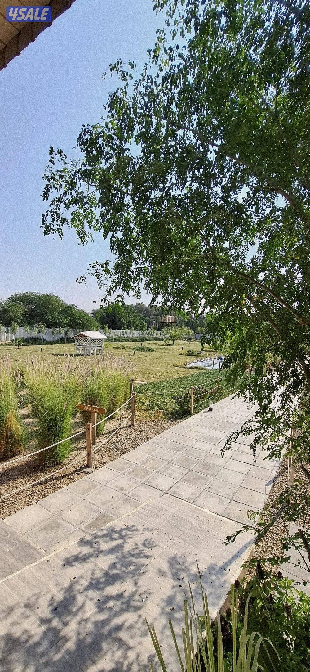 مزرعة A FARM  الوفره   طريق 30010