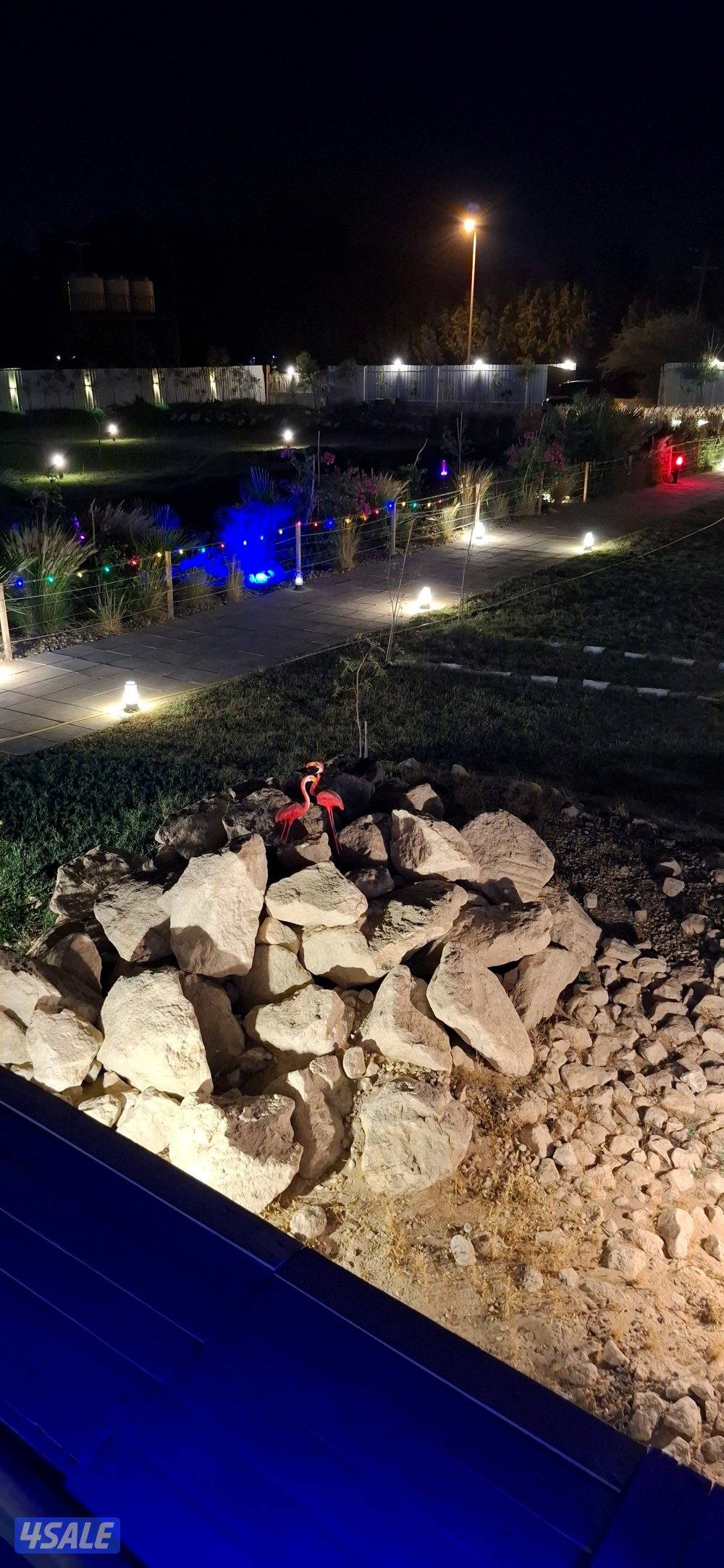 مزرعة A FARM  الوفره   طريق 30012