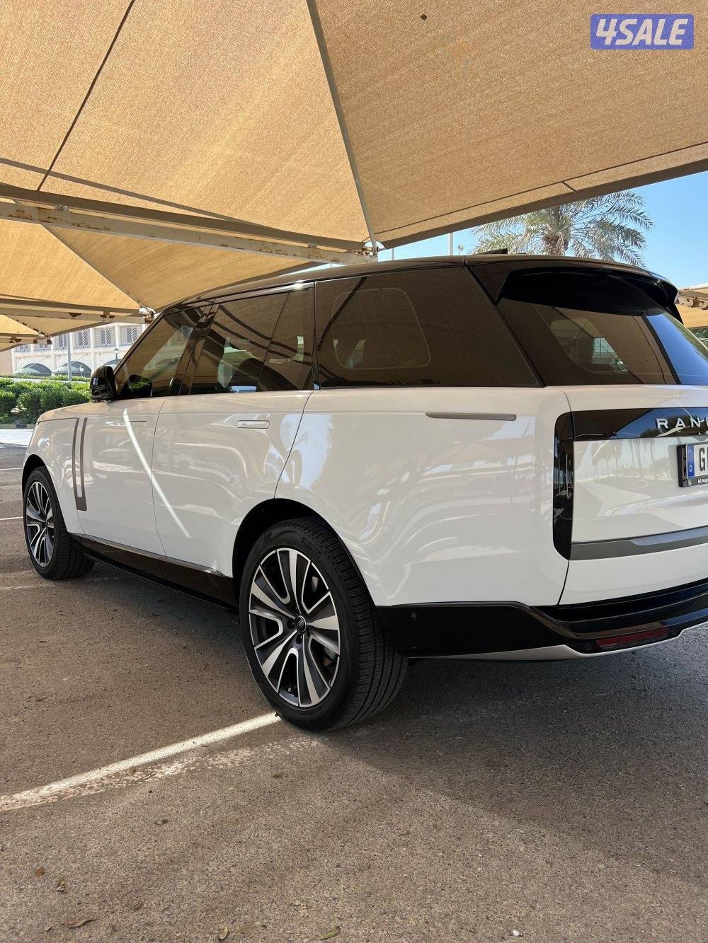 ماشي 10 آلاف المالك الأول1