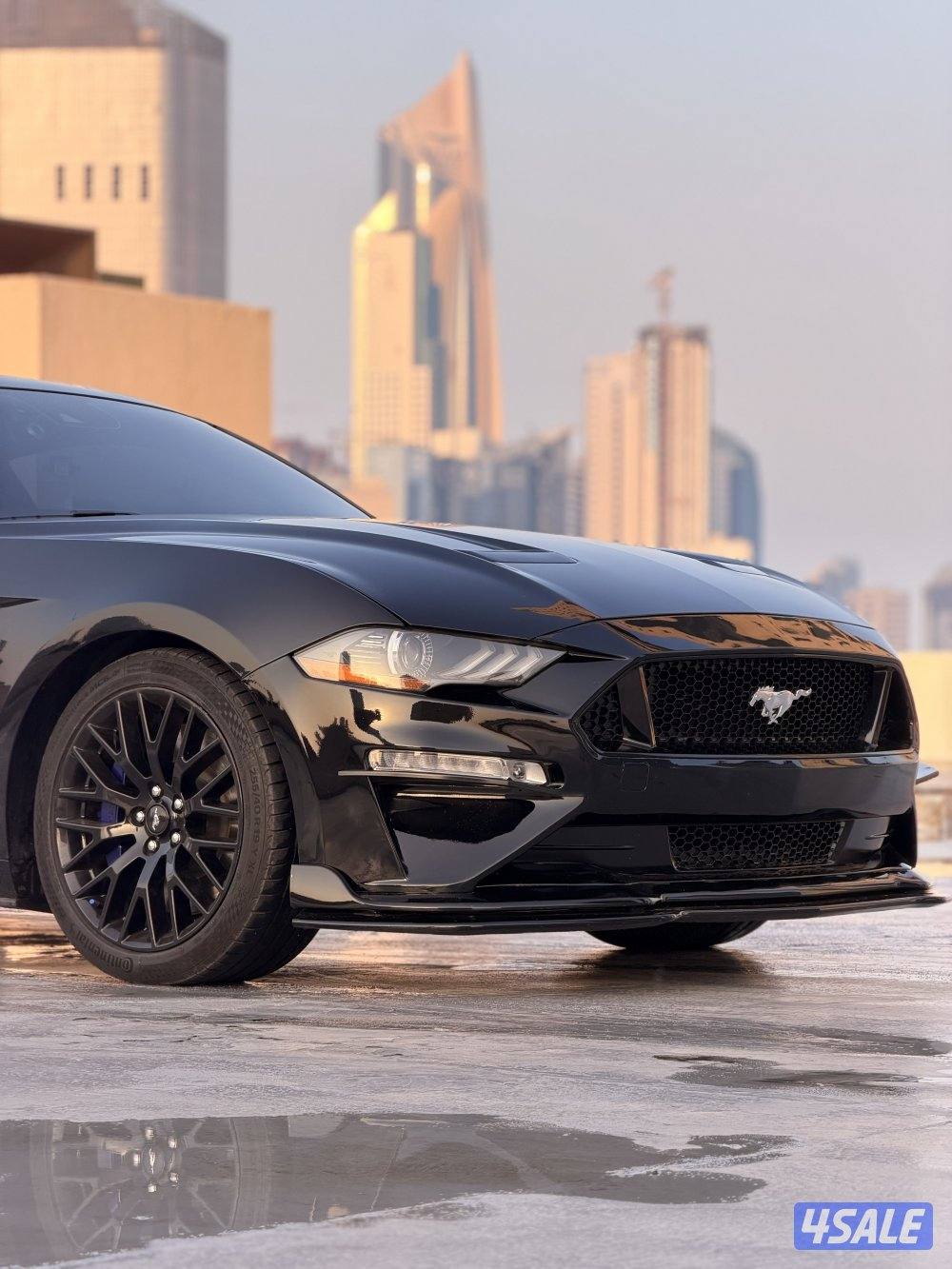 موستنق ٢٠١٩ بريفورمنس بكج1