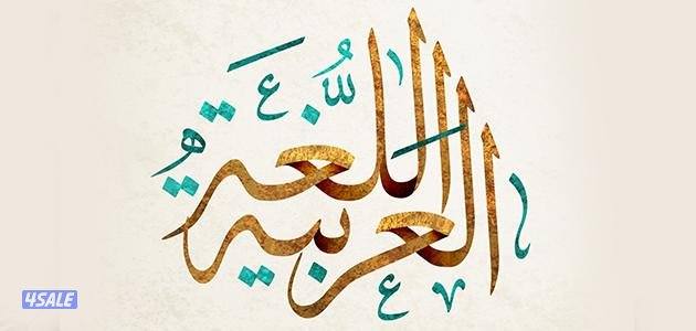 مدرس اول لغة عربية لتأسيس الابتدائي والمتوسط وتعليم القراءةوالكتابة0