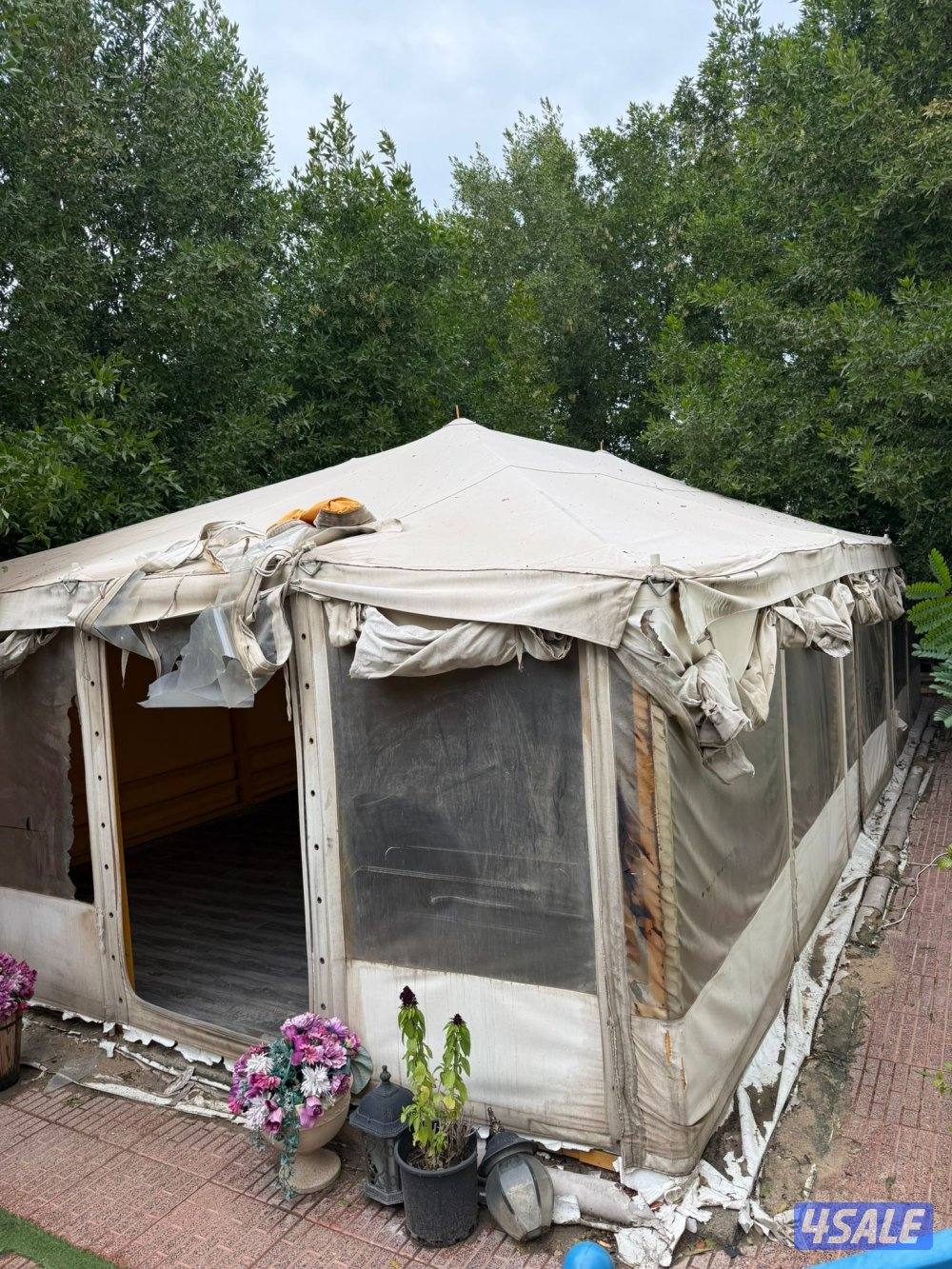 خيمة الصباح تسعه في خمسه2