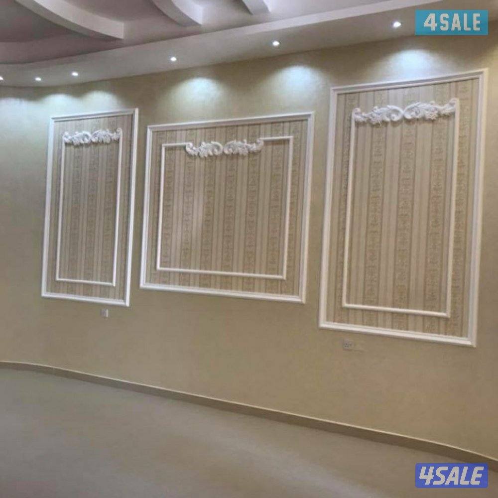 فني ديكور باكستاني2