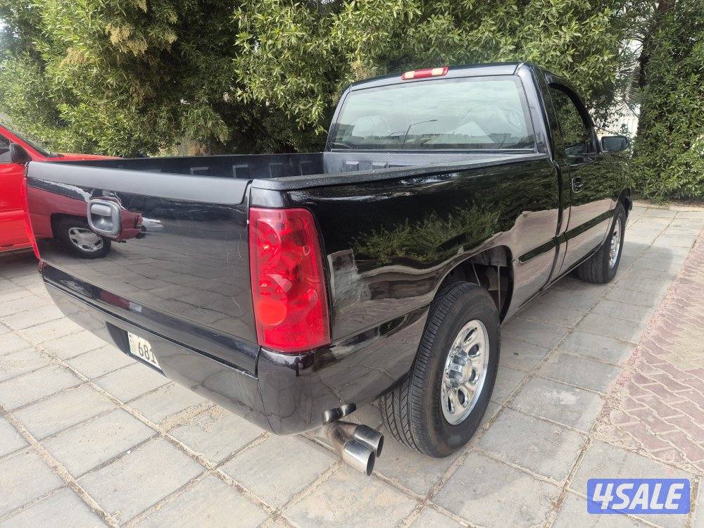 سلفرادو  / 20063