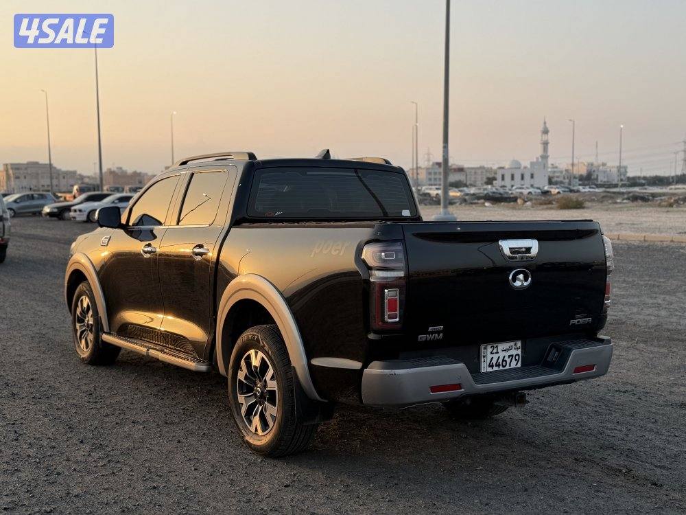 وانيت جريت وول 2022 صبغ وكالة14