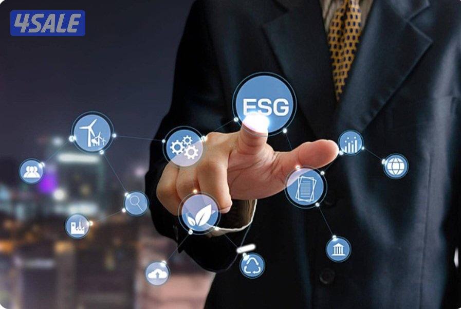 تبحث عن استثمار!!؟؟3