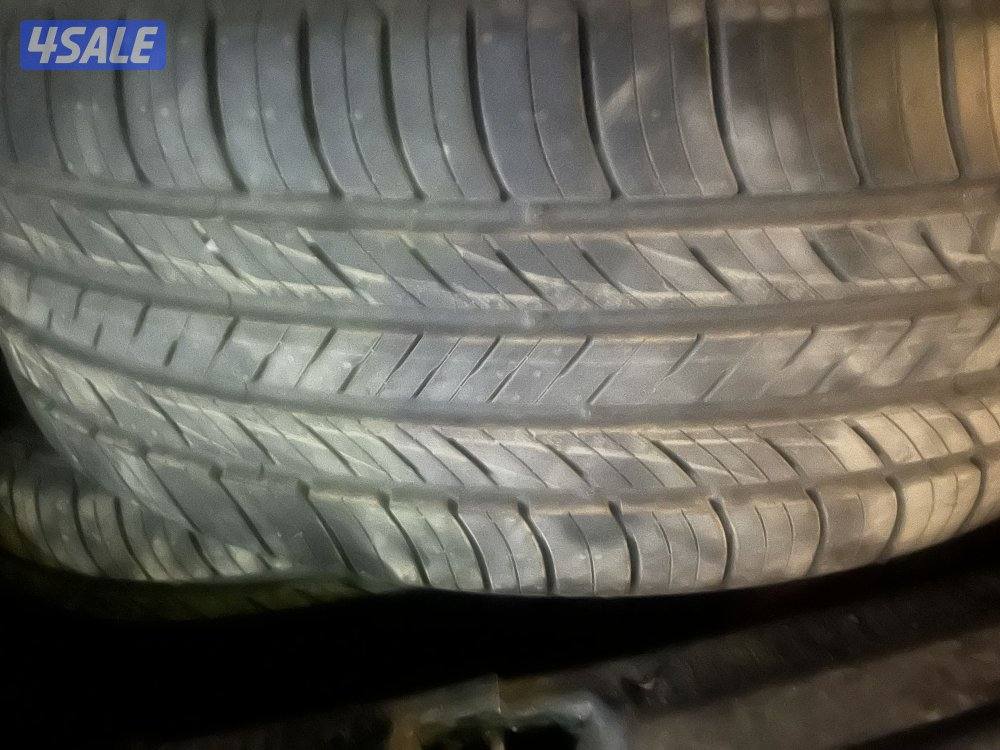 حجم 20 عدد 2 كومهو كوري0