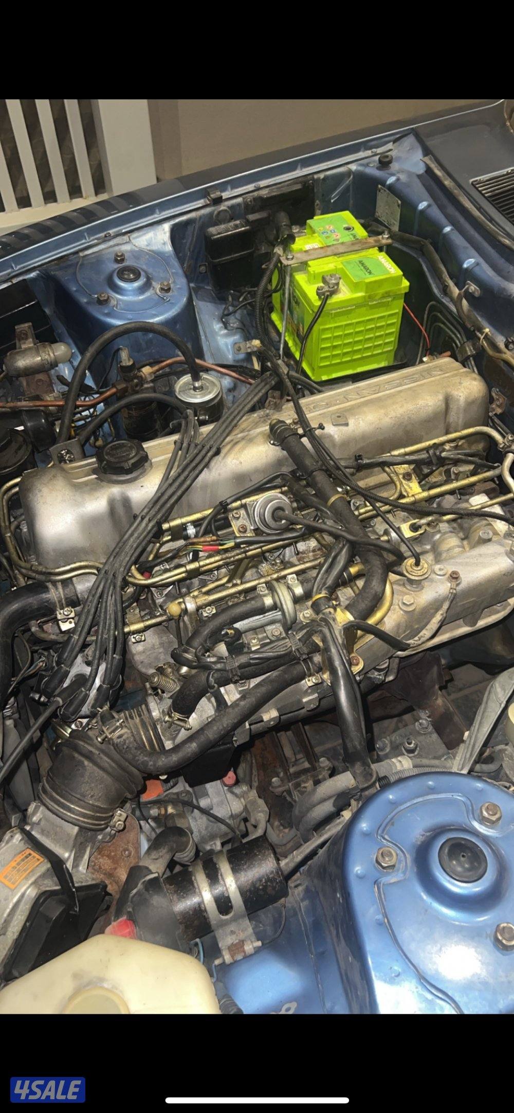 فورسيت اوربيه2