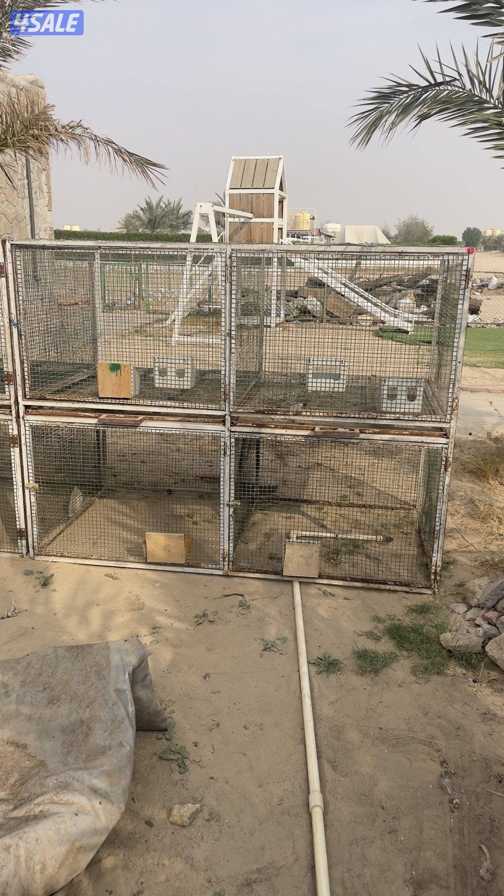 للبيع عدد ٢ خانة والاستلام كبد0