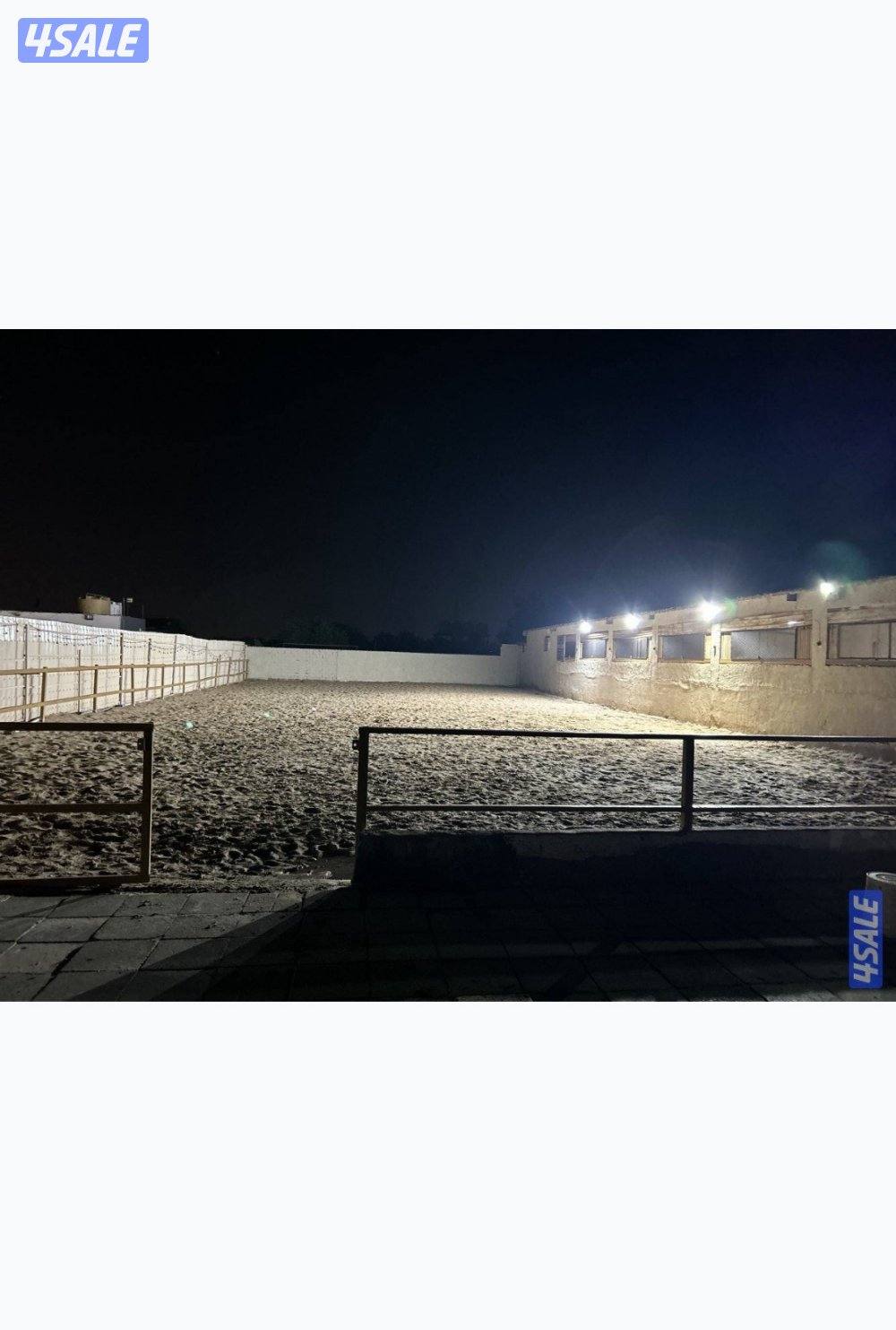 مطلوب مدرب مدرسه خيل0