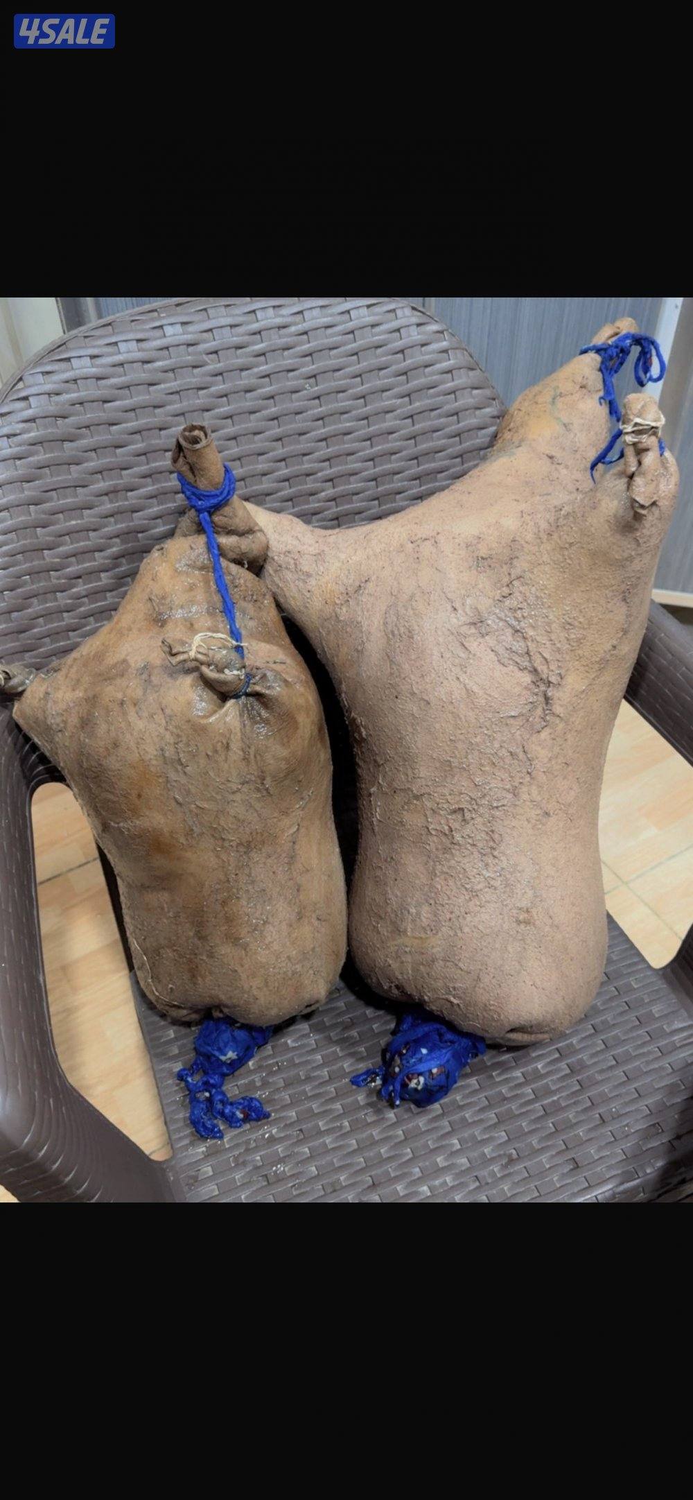 للبيع صميل متوسط 20 و للبيع عكاك ظب 250