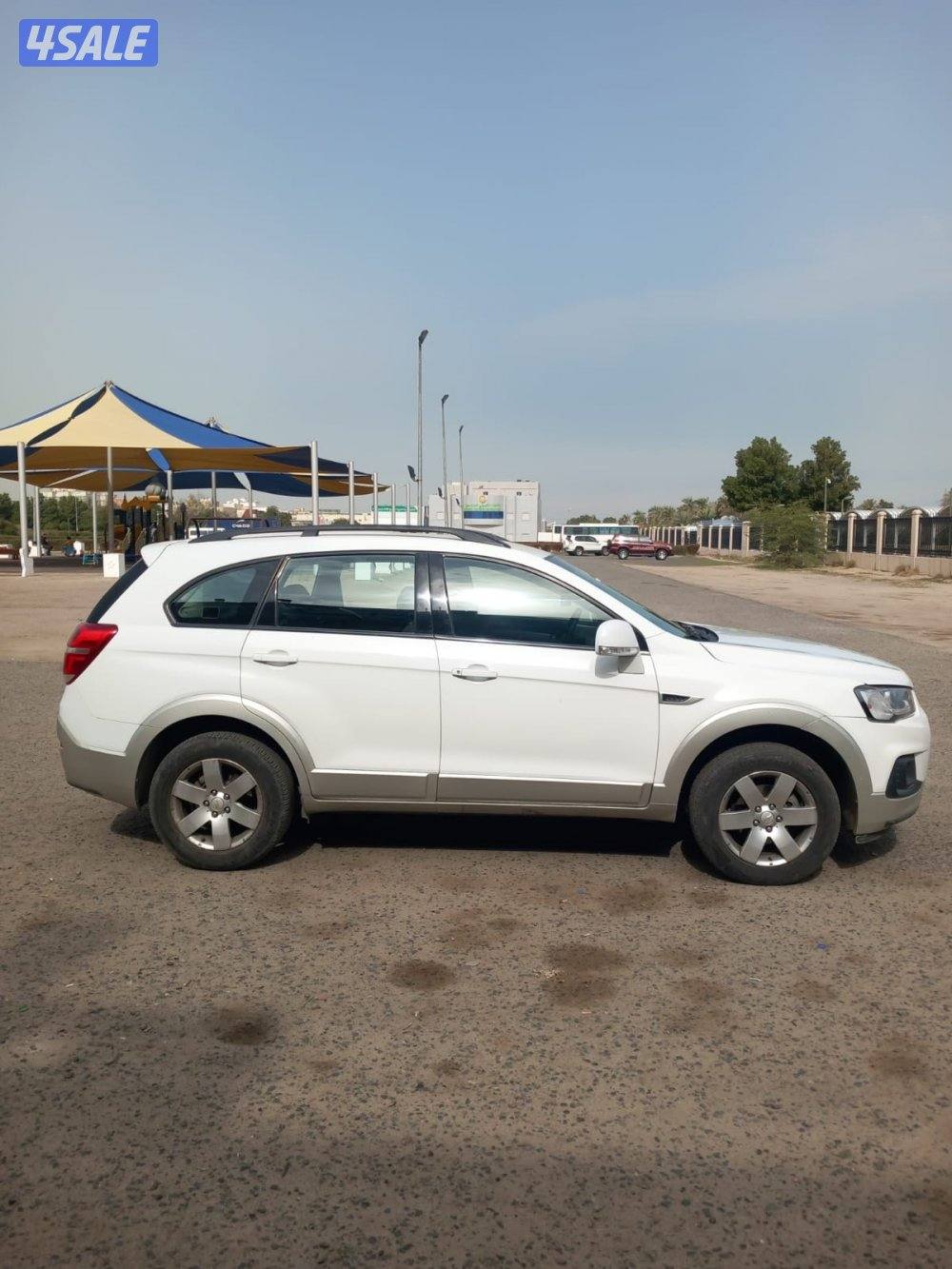 كابتيفا 20174