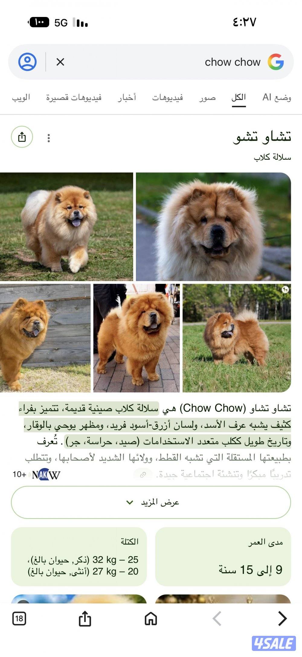 للبيع من النوادر صنف عالي مرتفع نوعه تشاو تشو1