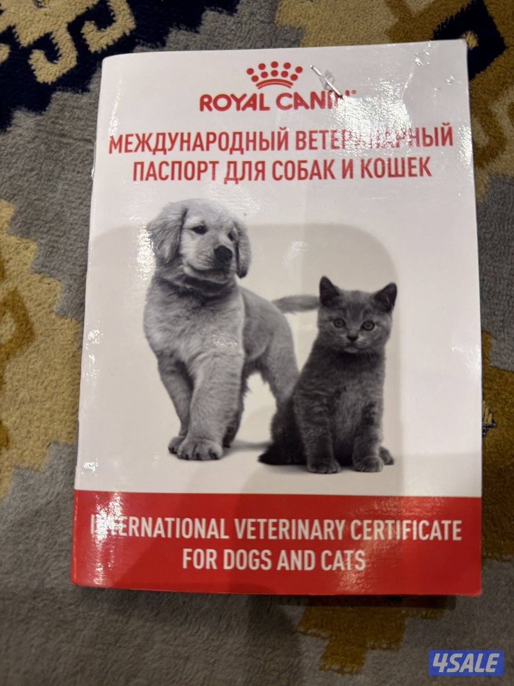 للبيع من النوادر صنف عالي مرتفع نوعه تشاو تشو4