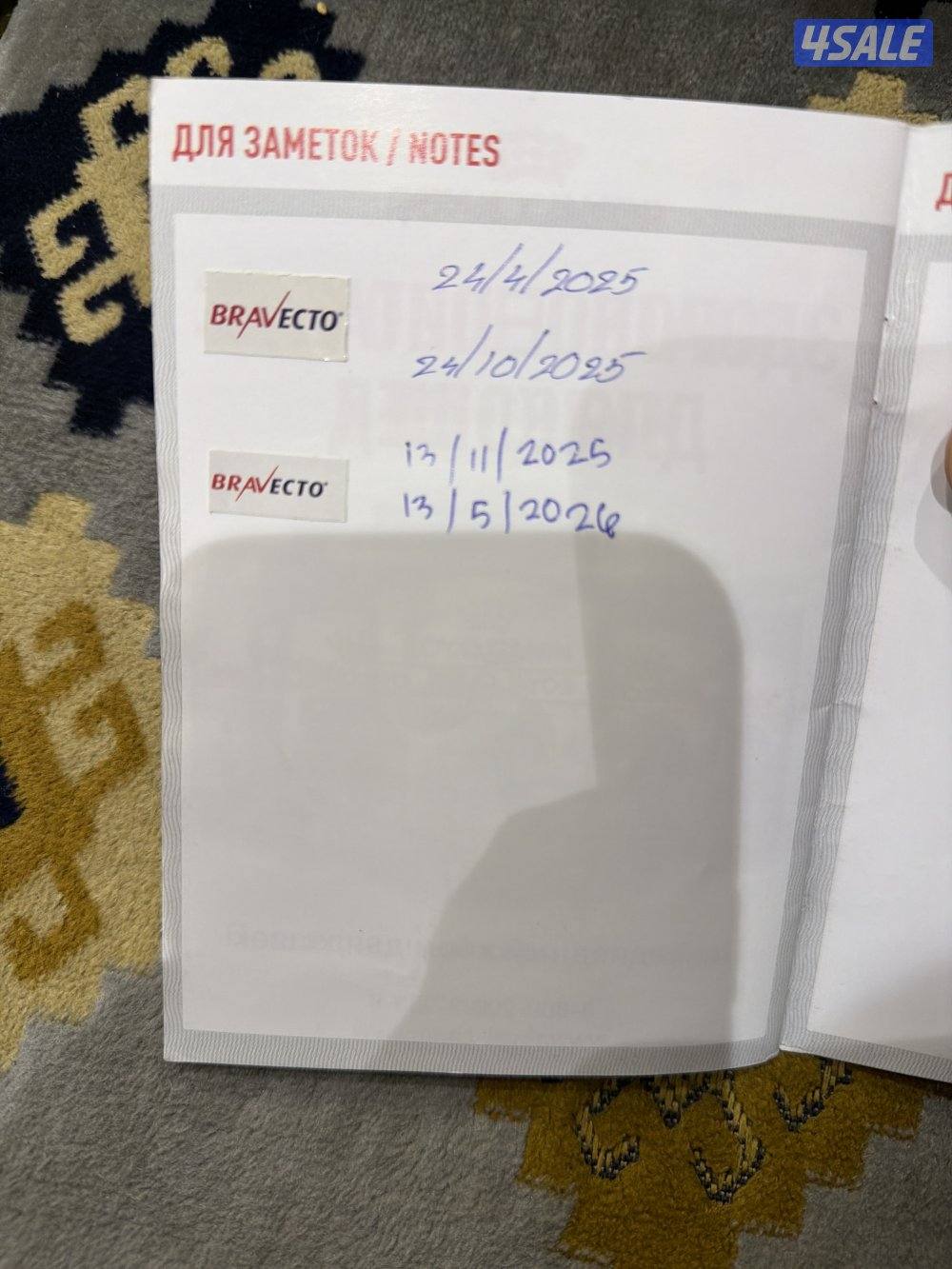 للبيع من النوادر صنف عالي مرتفع نوعه تشاو تشو7