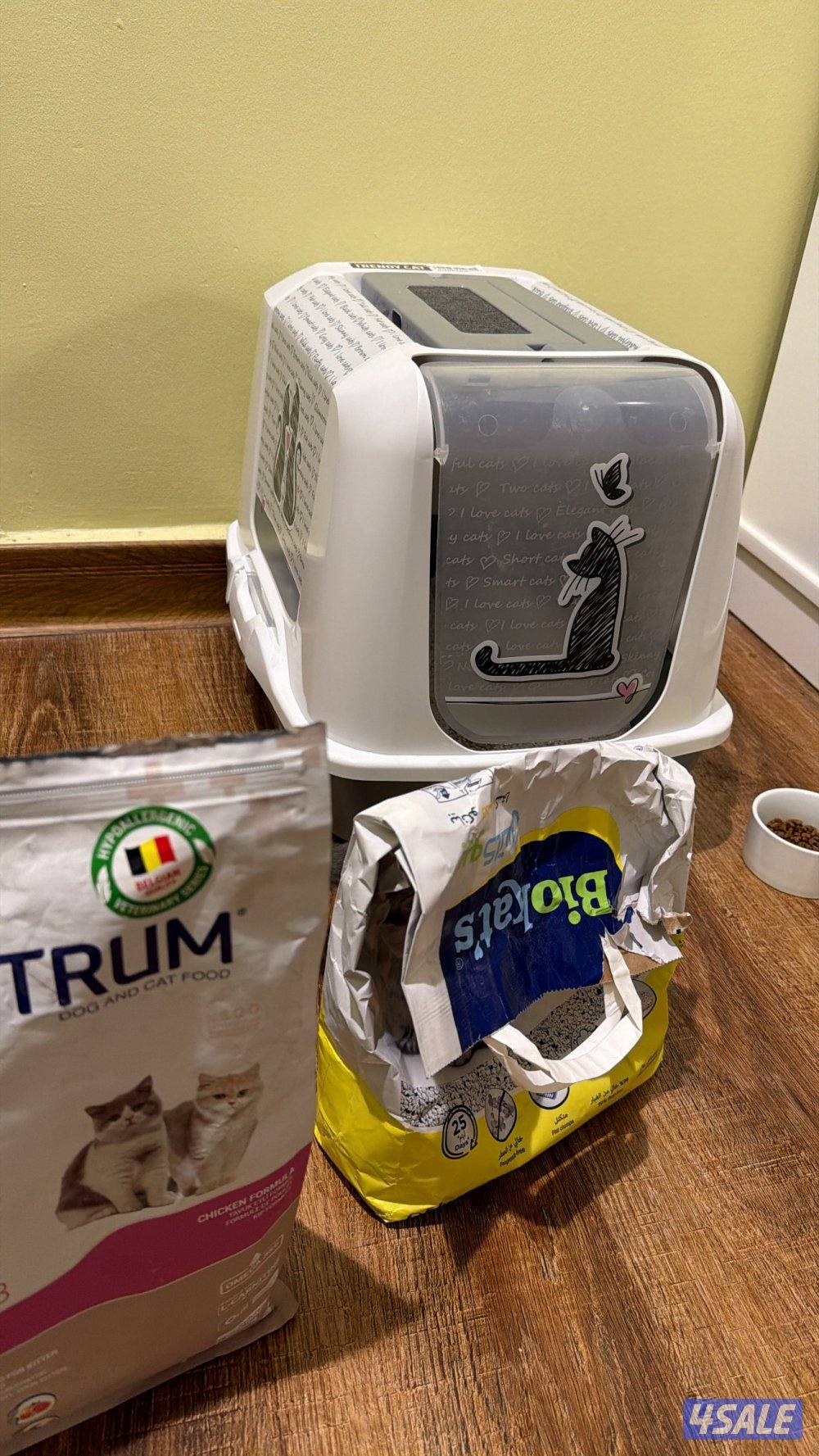 قطه سكوتش ستريت4