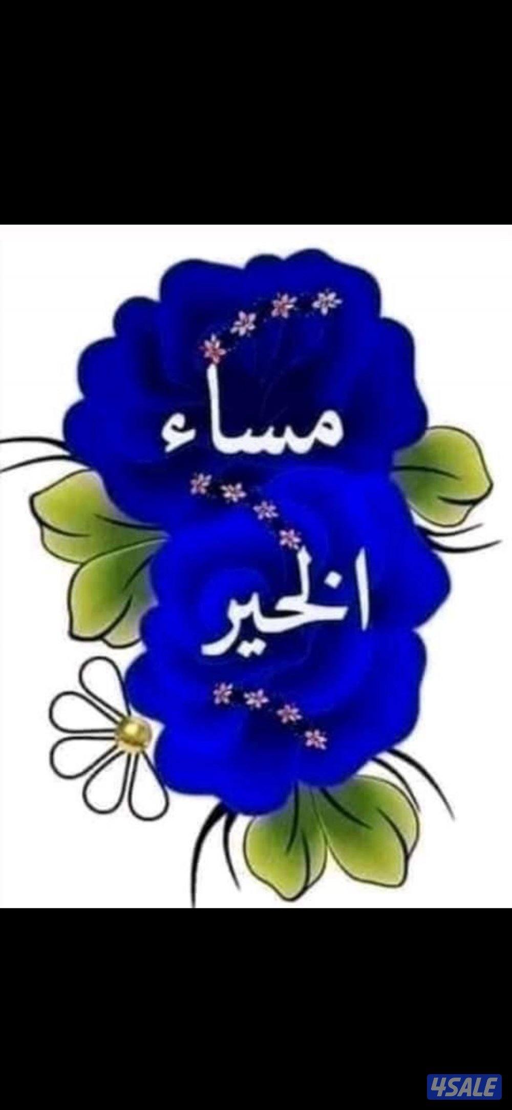 مطلوب سكرتيرة خبرة سابقة محاسب خبرة سابقة0