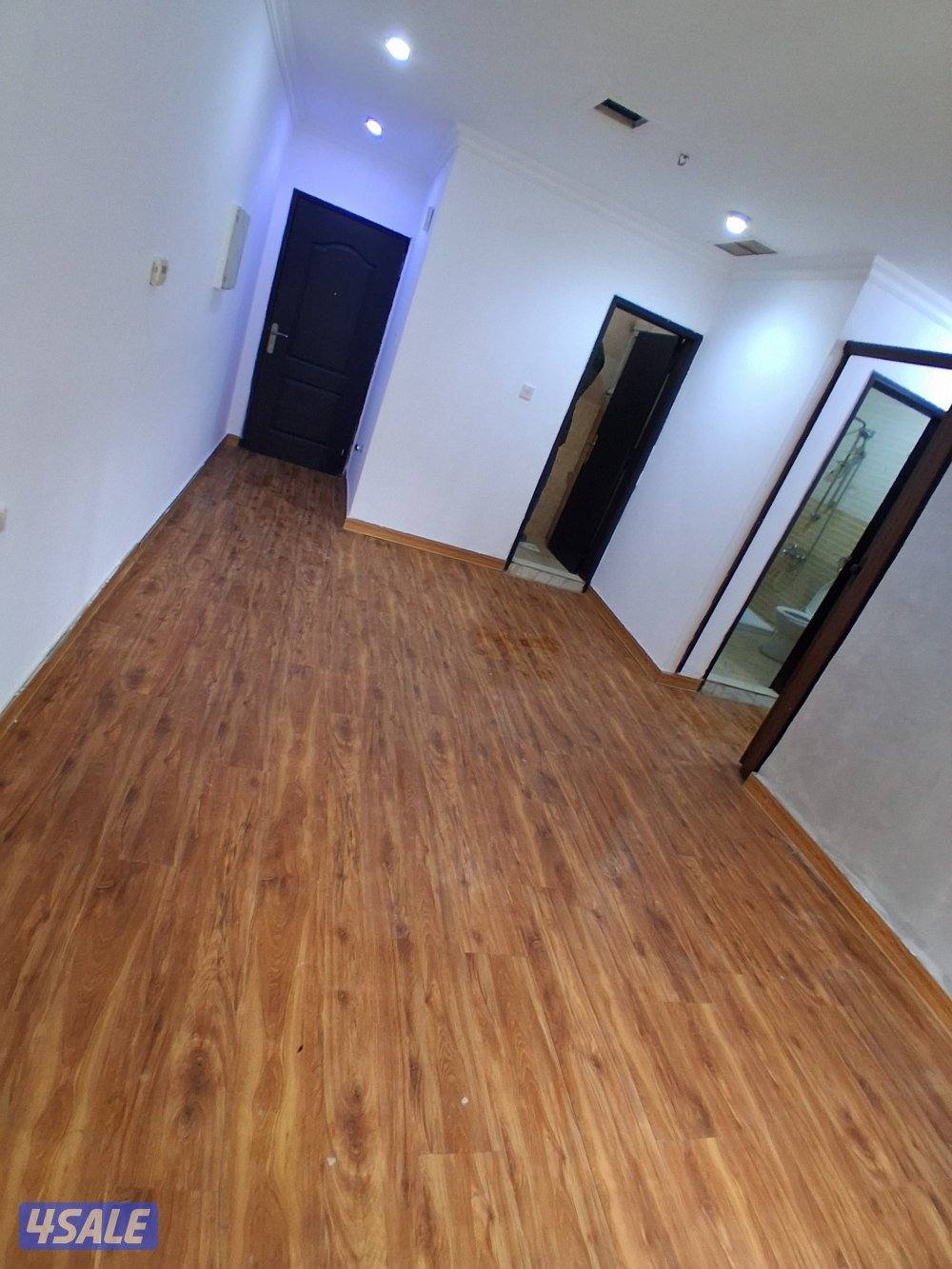 ميدان حولي ،السالمية قطعة 113