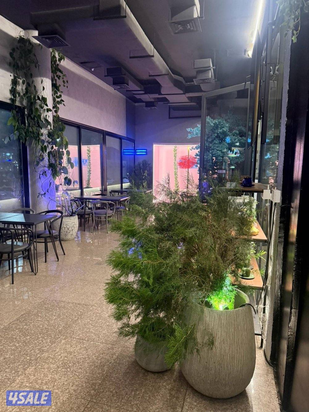 صباح السالم قطعة ١ مقابل نادي فلير وكينز بجانب دجاج نايف4