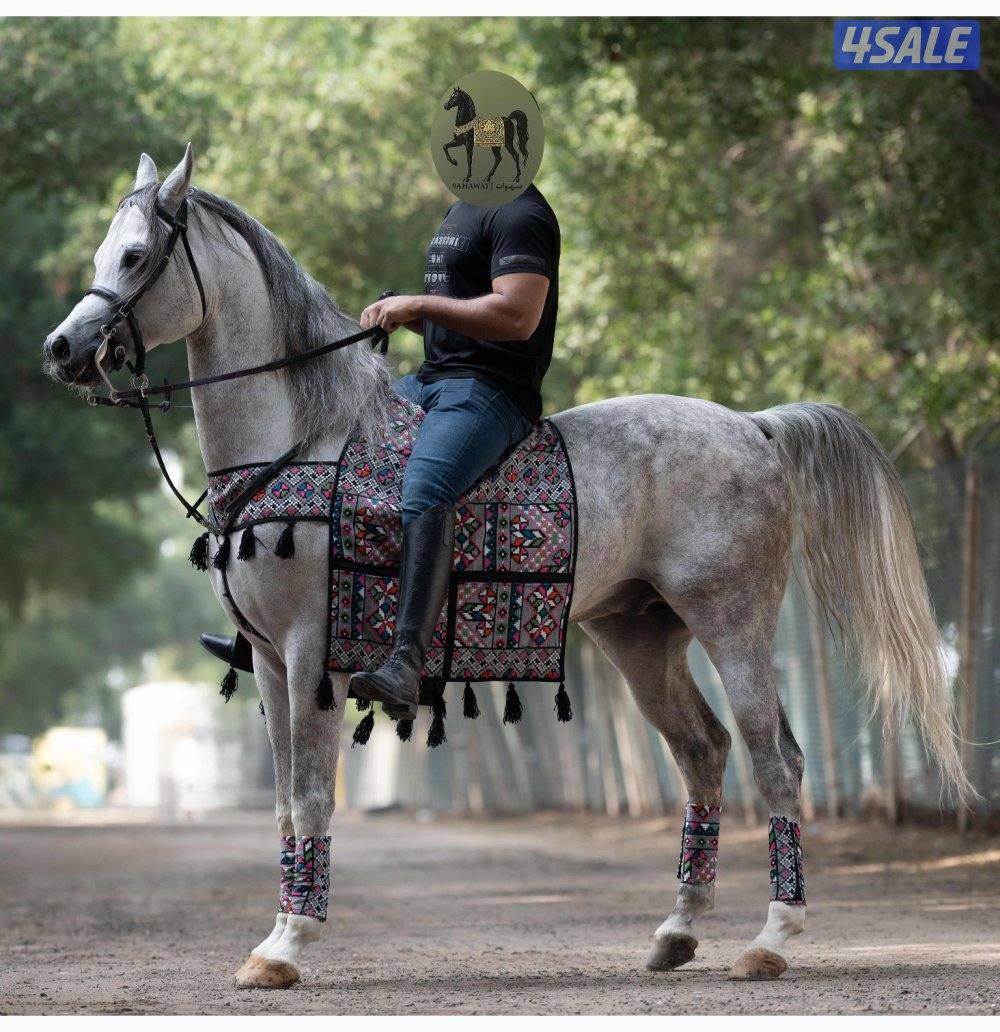 أطقم زينة للركوب3