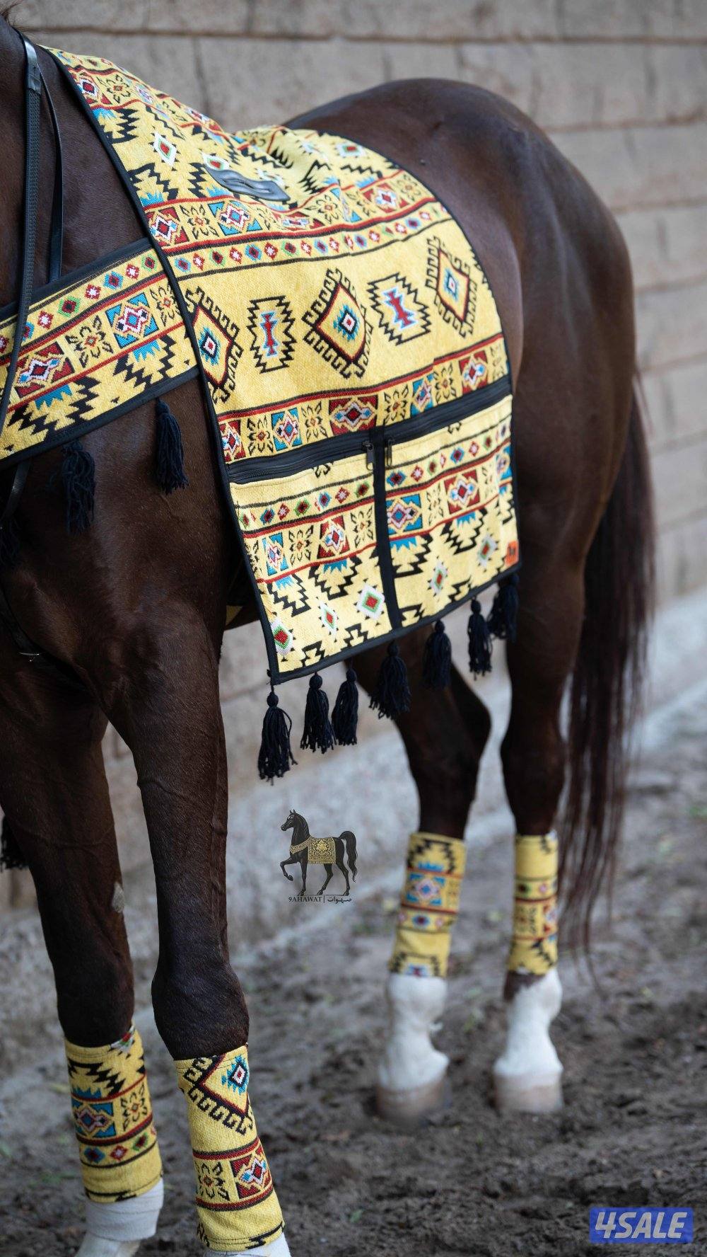 أطقم زينة للركوب6