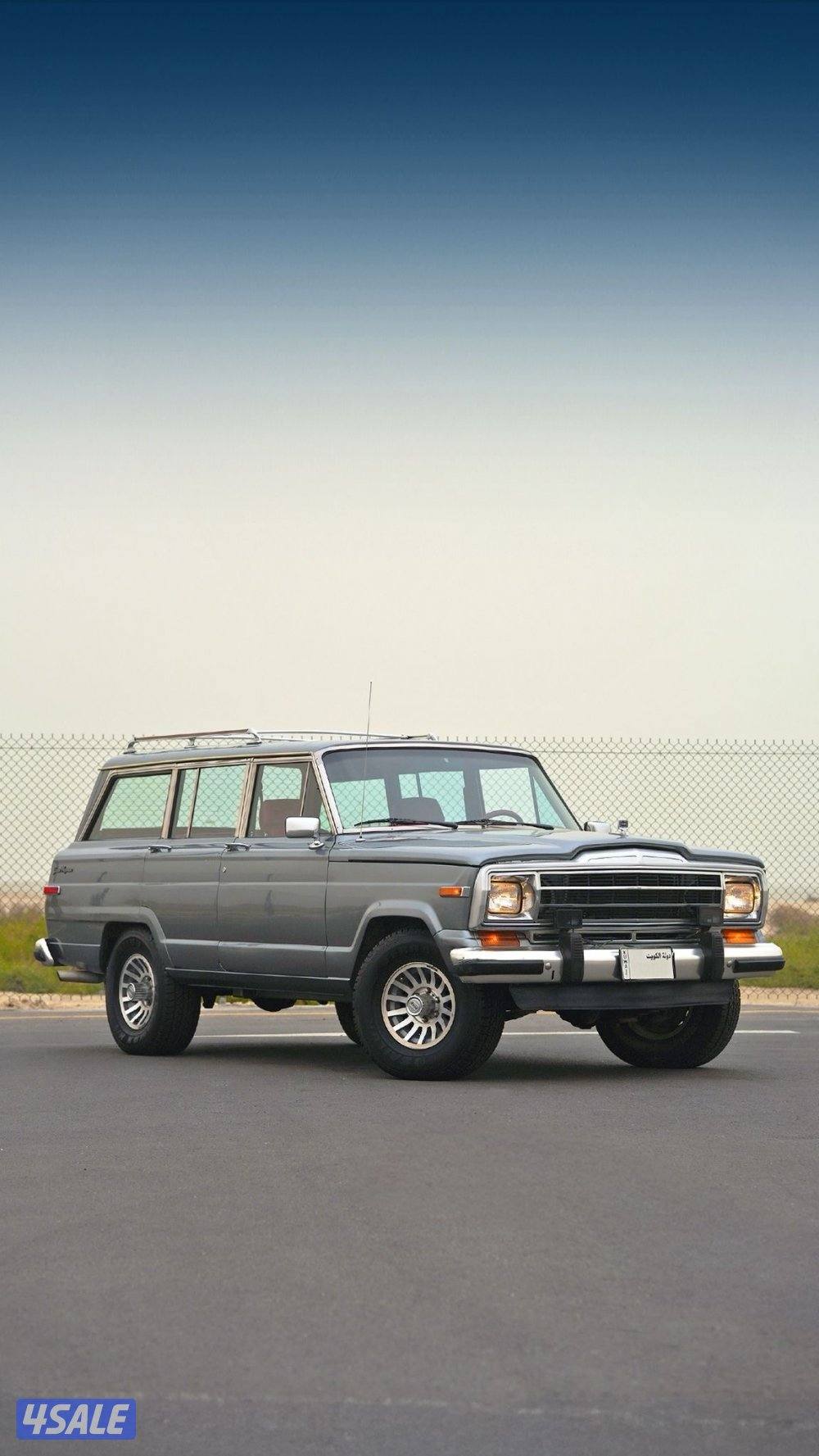 JEEP GRAND WAGONEER _19910