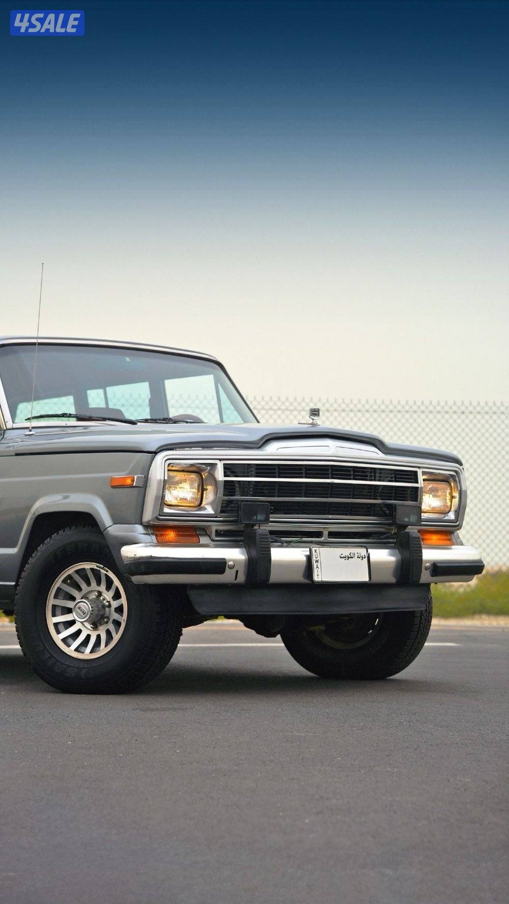 JEEP GRAND WAGONEER _19912